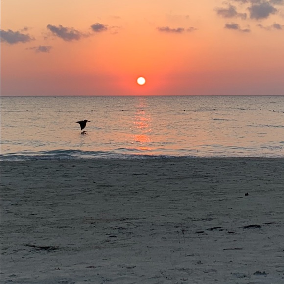 Meet your Posher, Jill - Picture 1 of 1